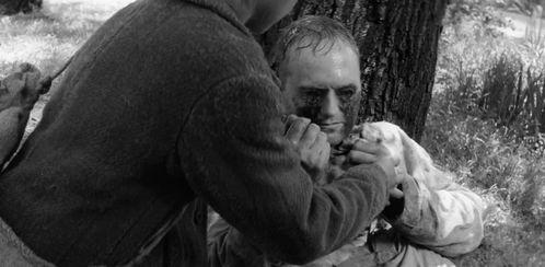 放荡的妇人在线观看,一场禁忌的欲望之旅  第2张